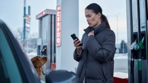Spain fails in 'pet friendly' roadside service stations ahead of Christmas exodus