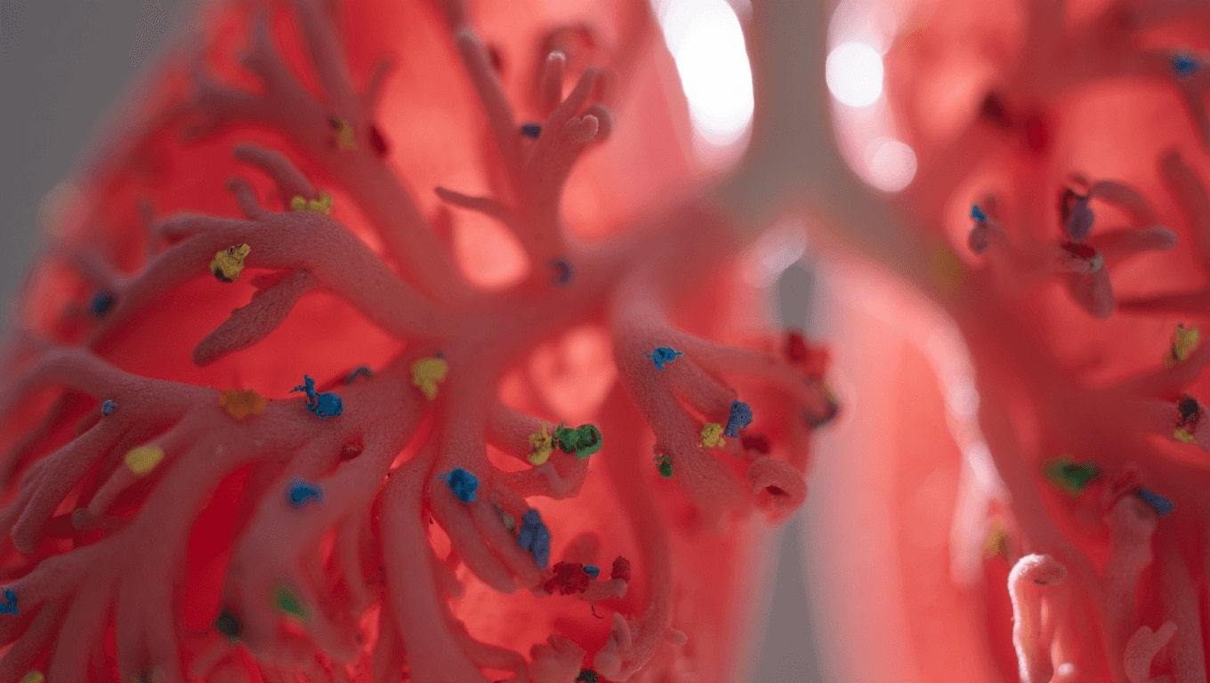 Respiramos plásticos: un estudio multidisciplinar detecta microfibras en pulmones humanos que podrían favorecer procesos respiratorios graves