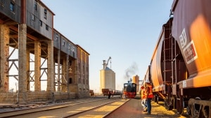 Family business revives railway for transport of cereals between Salamanca and Portugal: 'As kids, we used stations that no longer operate'
