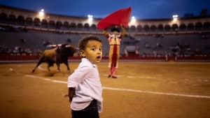 UN urges Spain to ban children from bullfights to protect them from 'extreme violence'