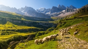 High stakes and highland heifers: why Spain’s Picos de Europa are (officially) the world’s most beautiful region