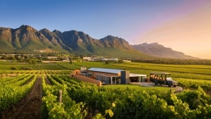 Por qué tienes que ir a Stellenbosch: el destino africano que combina safaris, vino y hoteles de diseño