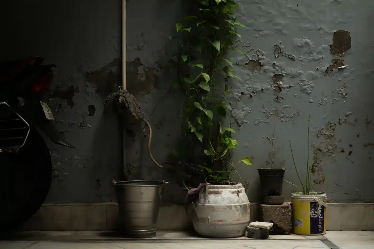 Cultivos improvisados y sistemas de supervivencia en el interior de una vivienda durante años de confinamiento