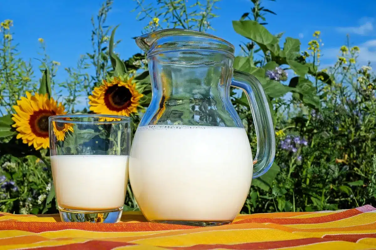 Variedad de productos sin azúcar como refrescos light, yogures y chicles en un supermercado