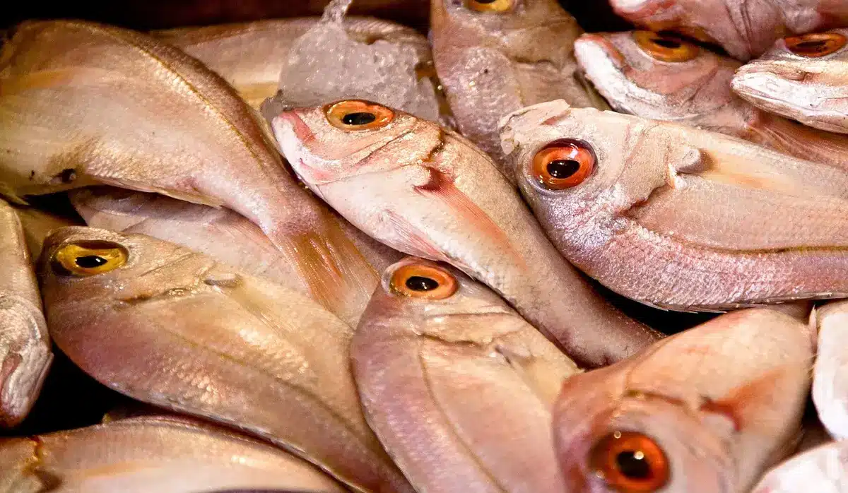 Puesto de mercado con pescados y mariscos frescos, productos de temporada típicos de la gastronomía local.