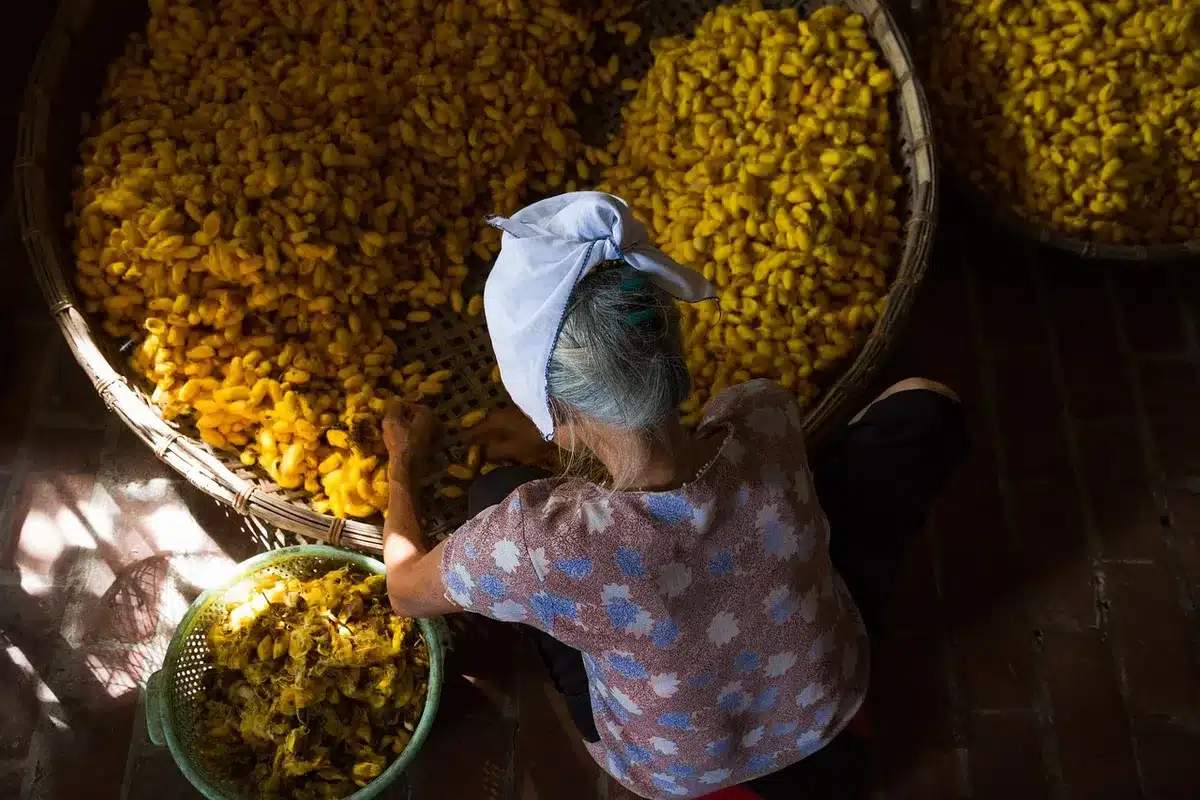 Muestras de sedas y crepes en tonos terrosos y florales
