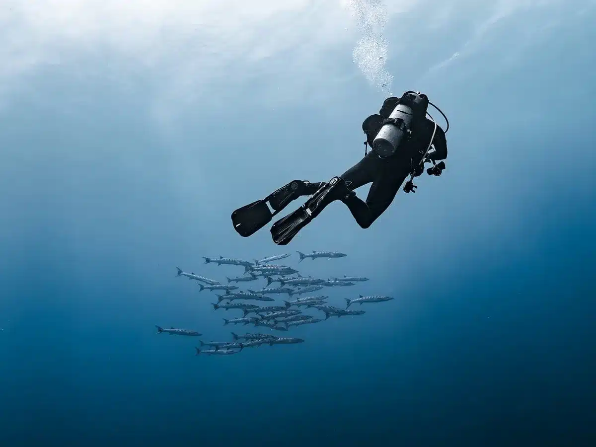 Set de película que simula el interior de una ballena con detalles claustrofóbicos